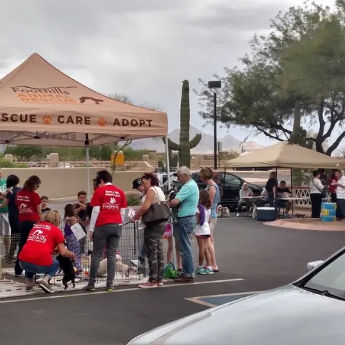 An adoption event being held in the parking lot of Pinnacle Event Animal Hospital